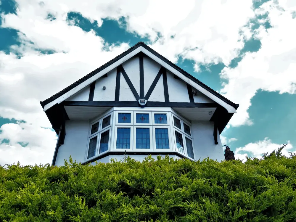 full house window replacement cost