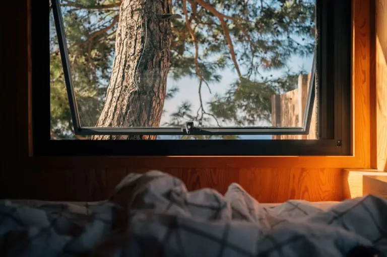 renewal by andersen vs window world - Renewal by Andersen vs Window World Cost Comparison