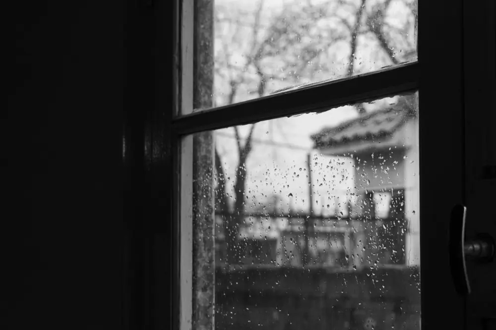 storm window cost