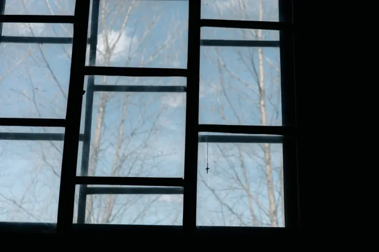 triple pane vs double pane cost - Triple Pane vs Double Pane Window Cost Minnesota