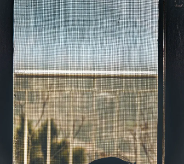 window screen replacement cost - Window Screen Replacement Cost Per Screen USA