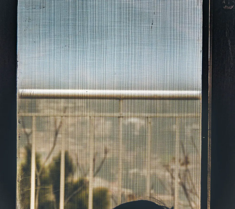window screen replacement cost - Window Screen Replacement Cost Per Screen USA